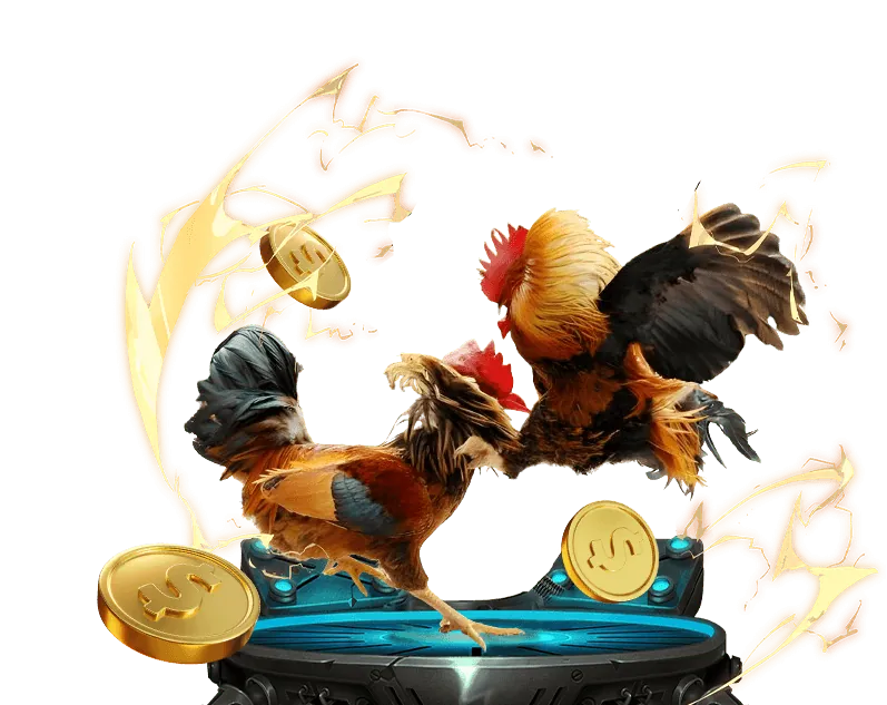 Cá cược đá gà an toàn 456WIN